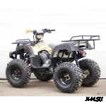 Квадроцикл STALKER 250