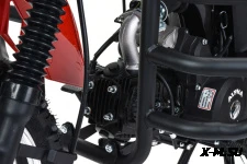 Мопед MOTOLAND (МОТОЛЕНД) Альфа Forester RS 11 (LM48-B) красный (A)