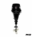 Подвесной лодочный мотор TOYAMA(PARSUN) F20ABMS