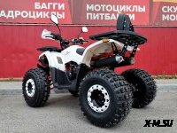 Квадроцикл PROMAX WILD 2.0 190 LUX