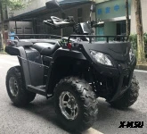 Квадроцикл RATO - 250 LD