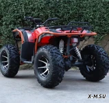 Квадроцикл ZONGSHEN TUNDRA 300 4WD STANDART
