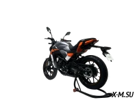 Мотоцикл TMBK MONTANA 250 (165 FMM)