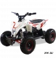 Детский электро квадроцикл MOTAX GEKKON 1300W