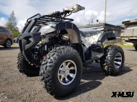 КВАДРОЦИКЛ RAPTOR ATV200U LUX ALL 200СС 4Т