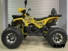 Квадроцикл PROMAX WILD 2.0 190 PRO (2025)
