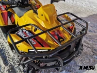 Квадроцикл IRBIS ATV 250 XE (X-MOTORS EDITION)