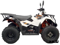 Квадрицикл KAYO AU300 Carb (белый пластик 2024 г.) (ПТС)