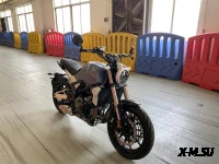 Мотоцикл Regulmoto THOR 400