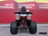 Квадроцикл PROMAX WILD 2.0 190 LUX