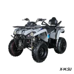 Квадроцикл Forester Long 200 Basic