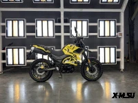 Мотоцикл Regulmoto DUKE 300