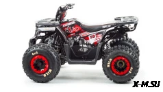 Квадроцикл PROMAX WILD 175