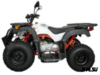 Квадрицикл KAYO AU150 CVT (белый пластик 2024 г.) (ПТС)