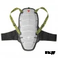 Защита спины ACTIVE SHIELD  02 EVO white