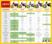 Мотоцикл ATAKI S004-R 300 (4T PR300) 21/18 (2024 г.)
