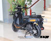 Скутер Regulmoto Zoomer