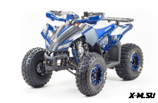 Квадроцикл MOTOLAND (МОТОЛЕНД) 125 COYOTE