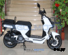 Скутер Regulmoto Zoomer