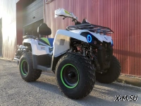 Квадроцикл PROMAX RENEGADE 300 LUX