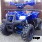 Квадроцикл ATV Atomik Spark
