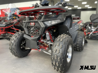 Квадроцикл GBM DAXTER 220 NEW PREMIUM Черный