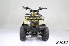 Квадроцикл MOTOLAND (МОТОЛЕНД) 110 RIDER